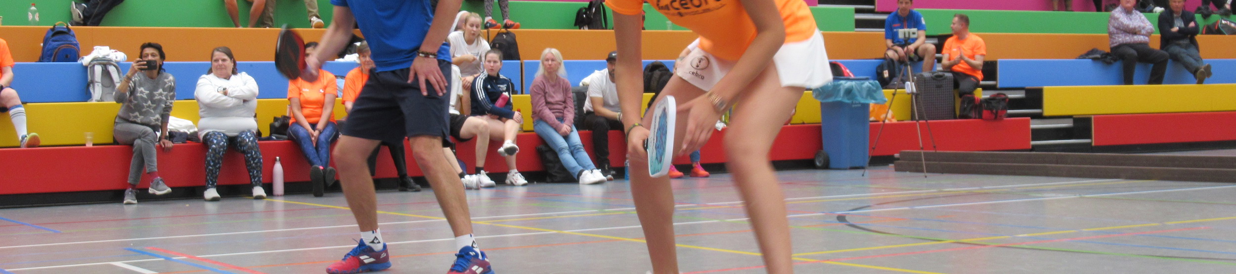 Pickleball mix